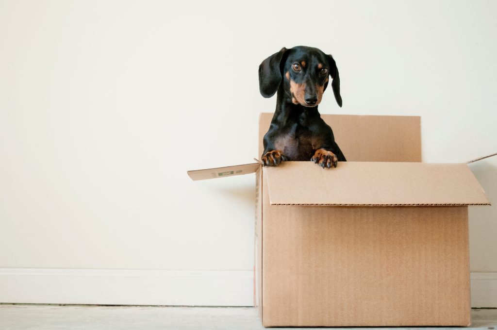 use free boxes to save money on cross country move